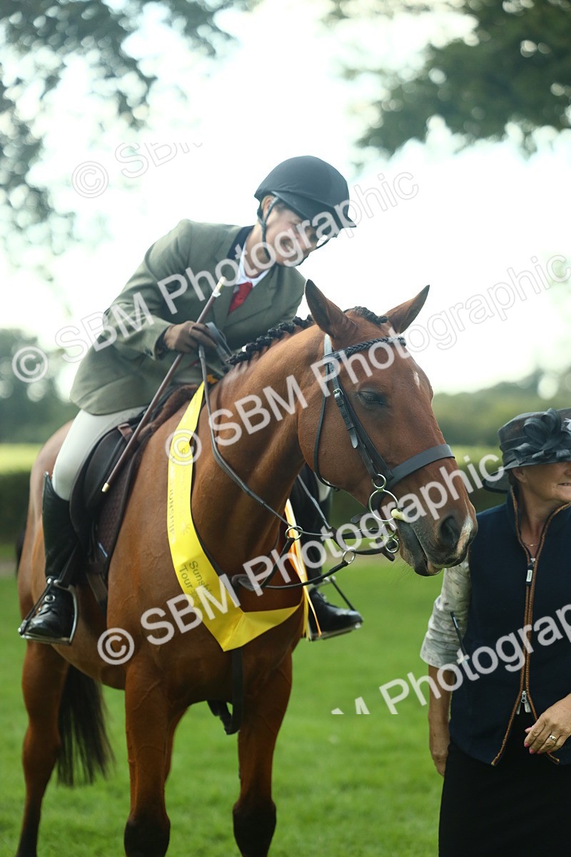 SBM_52210 - S33 - Working Hunter & Working Show Horse