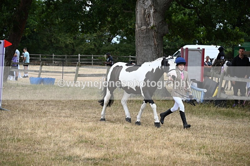 WJ6_8116 - Class 10 Coloured in Hand