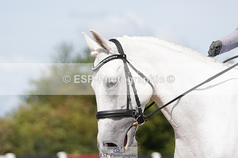 250906-122605-02336 - 070-Charlotte.DoreyDeards.Silver.Bounce