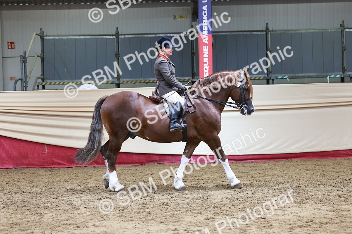 SBM_18683 - Class 952 - M&M Ridden Supreme Final