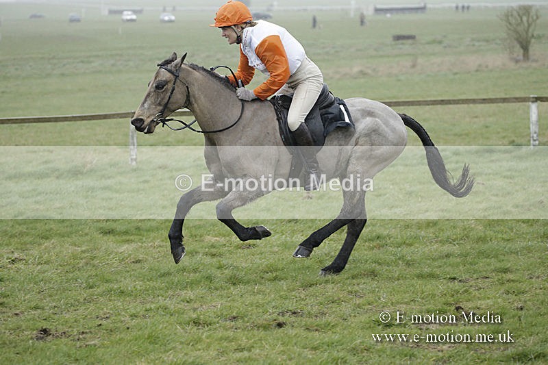 PtP 150320 0087 - New Forest Point-to-Point Larkhill 15/03/20
