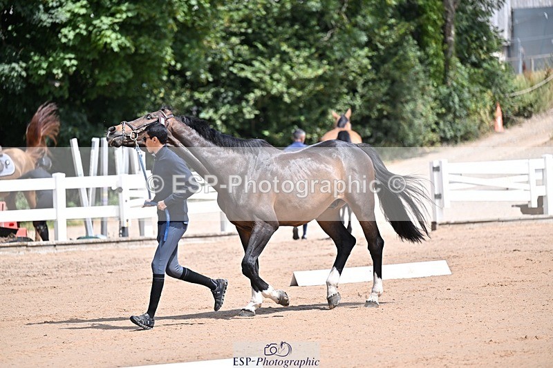 250716-123955-00100 - Trot Up 12.30 to 1.30