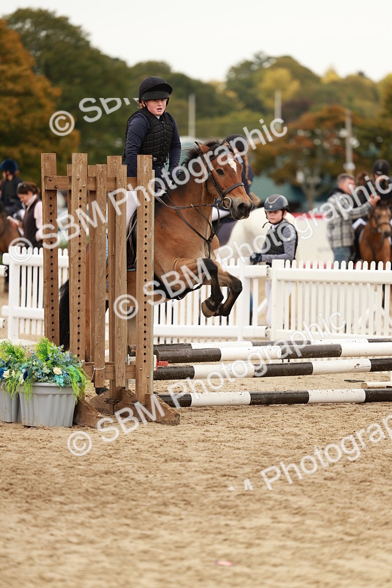 SBM_57880 - J11 - Junior Pony 50cm Championship