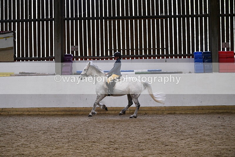 WJ5_7937 - Class 13 Ridden Part Breed