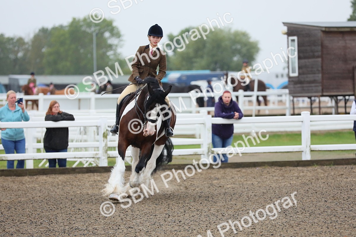 SBM_19928 - Class 801 - Ridden Veteran