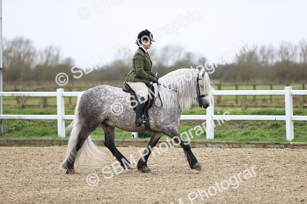 SBM_007493 - Class 31-32 - M&M Confined Novice Small-Large