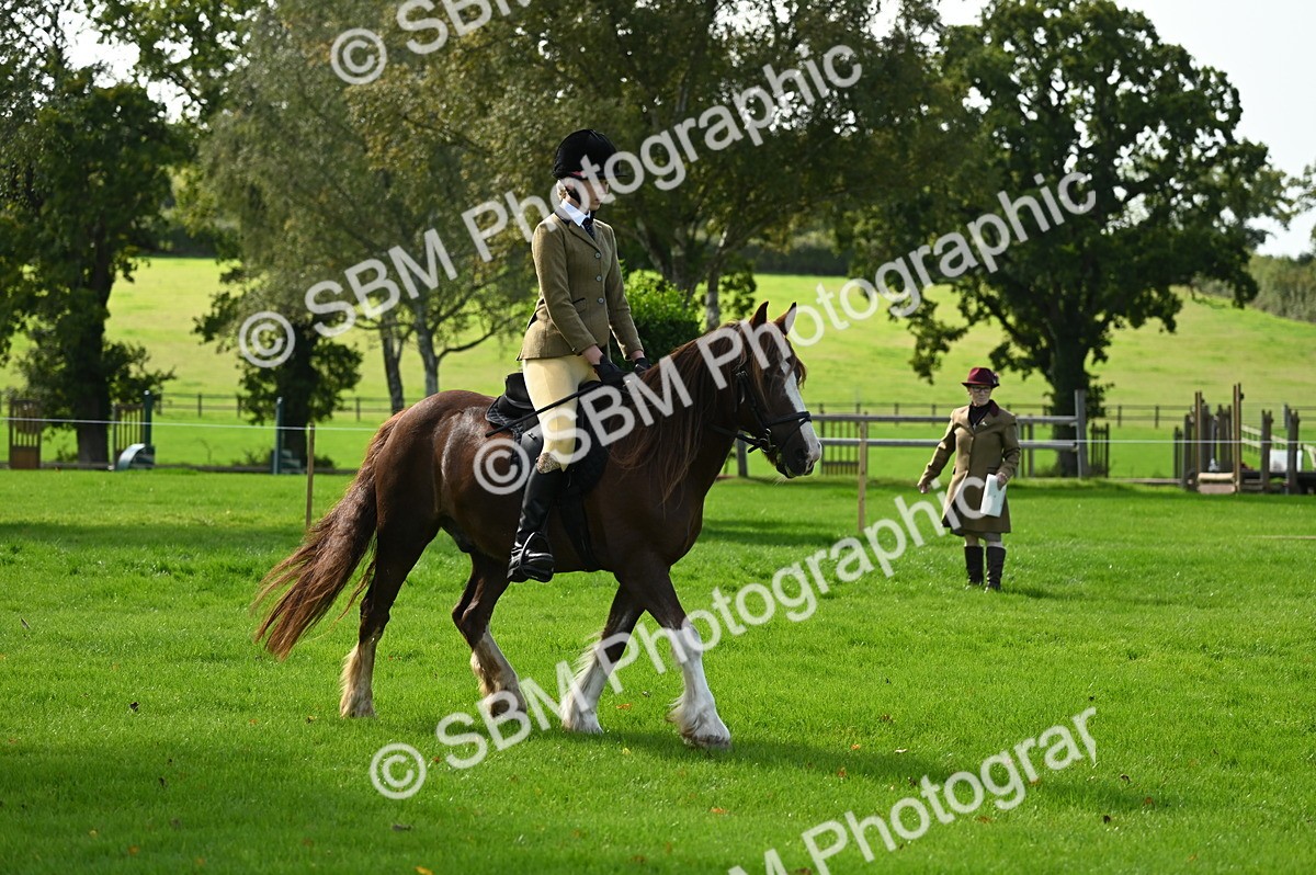 SBM_02690 - S3 - TSR Ridden Pony Showing
