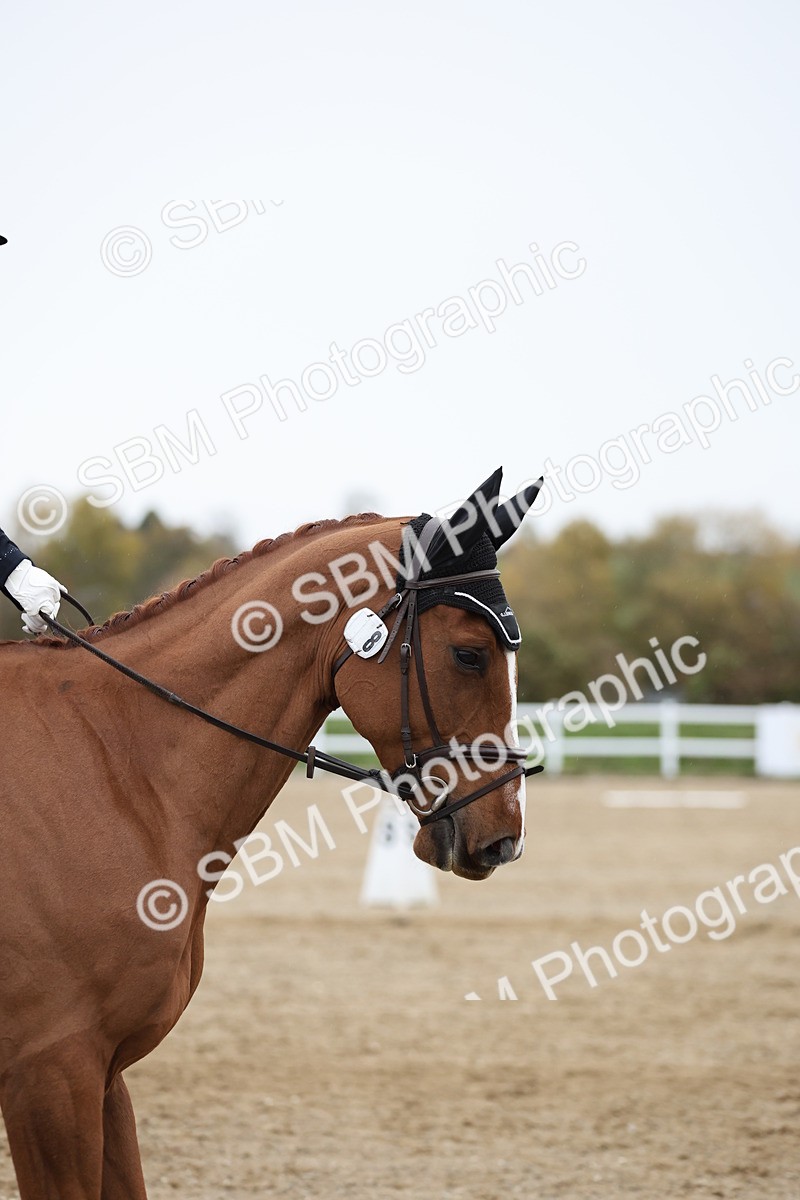 SBM_004546 - Class 7 - Prelim 4