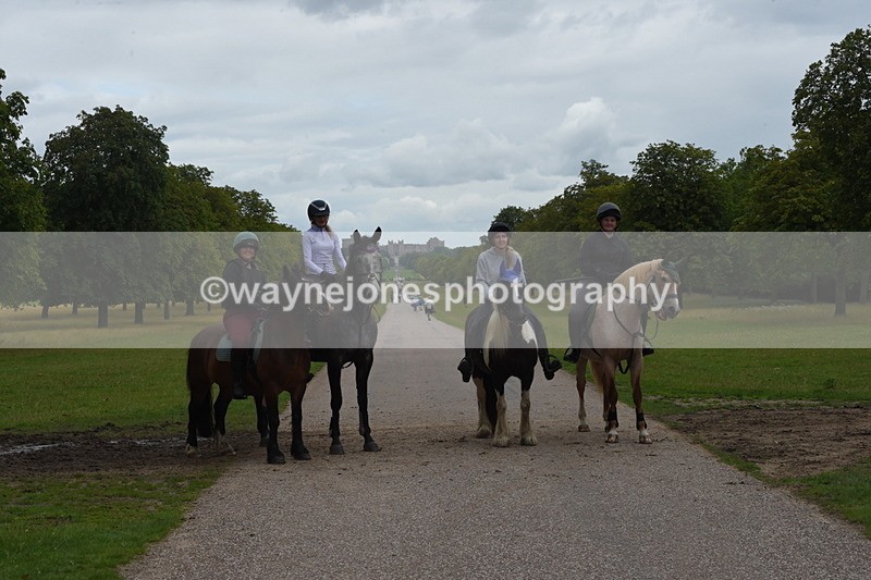 TT3_9947 - Time at Crossing 11:28 to 13:16