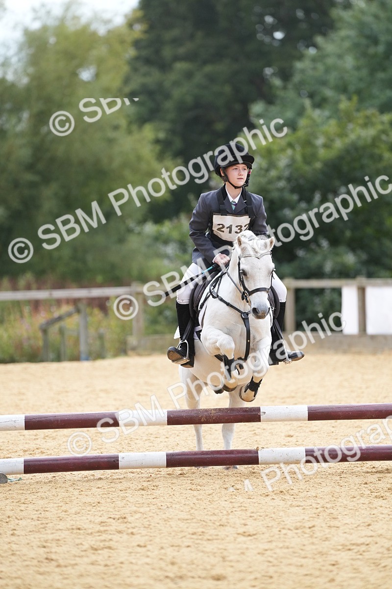 SBM_74776 - J4 - Mini Tour Junior Pony 45cm Championship