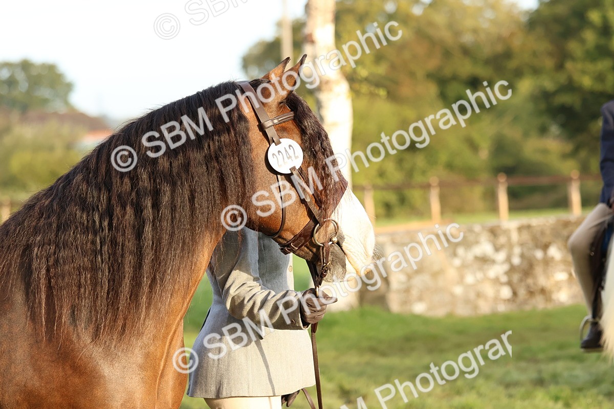 SBM_54563 - S38 - Starters Best Turnout