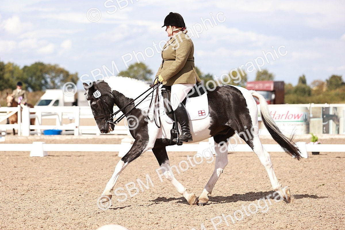 SBM_06606 - Class 39 - Medium 3