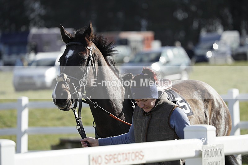 PtP 260223 679 - South & West Wilts Point-to-Point Larkhill 26/02/23