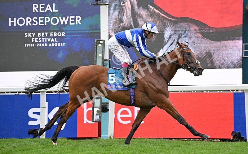 200826-073 The Lost King - Race 3 15.00pm Sir Kevin Sinfield 7 In 7 Grand Finale Handicap
