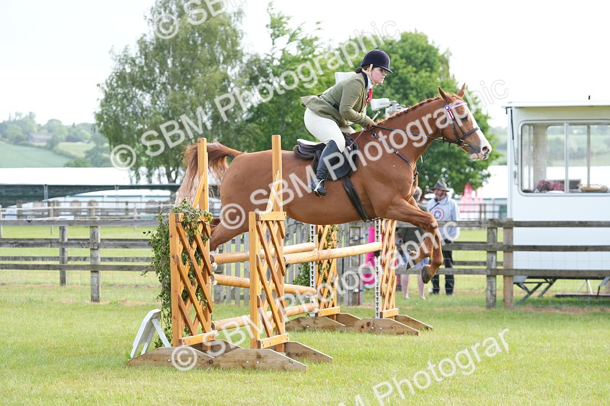 SBM_10477 - Class 97-98 - LIHS BSHA Rising Star Working Show Horse Hunter