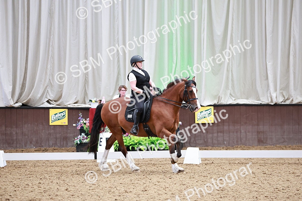 SBM_014358 - Class 7 - Ele FSM Bronze  13.24.14.04