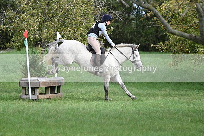 WJ7_8429 - 60cm Pairs