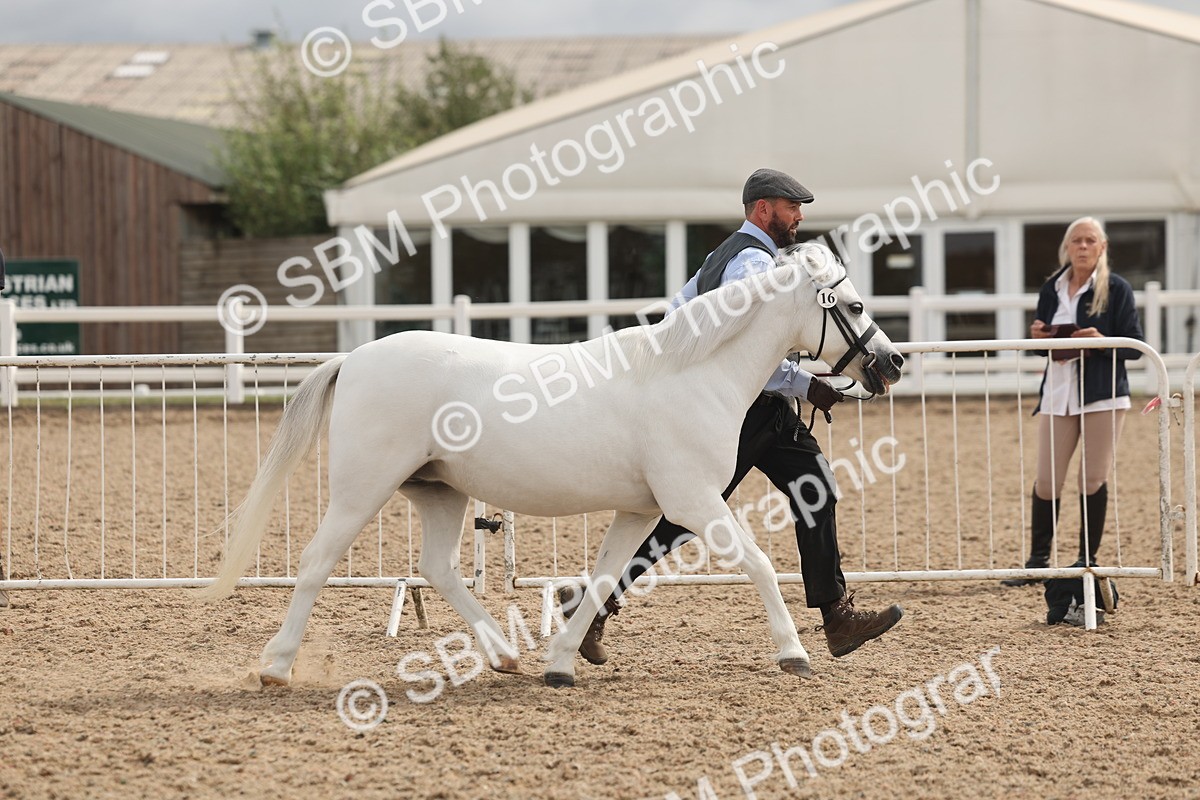 SBM_04959 - Class 20 - IH Veteran