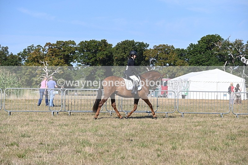 WJ6_7213 - Class 33 Rescue Pony