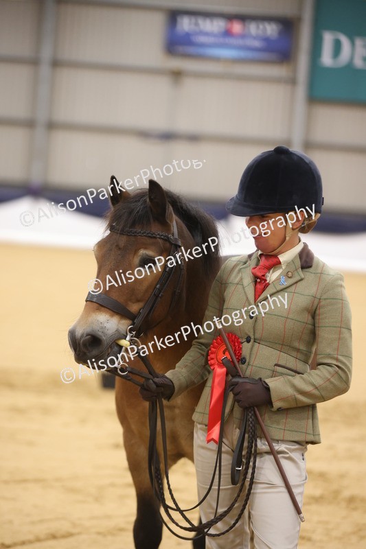 20260913-1066 - Class 109 - Bred On Exmoor In Hand