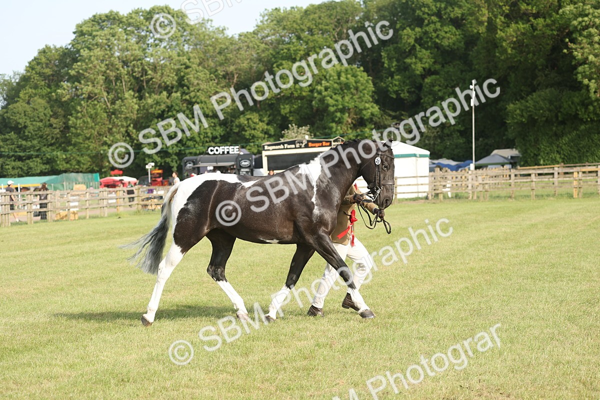 SBM_10560 - Class 33-38 - SSADL RIHS Qualifiers
