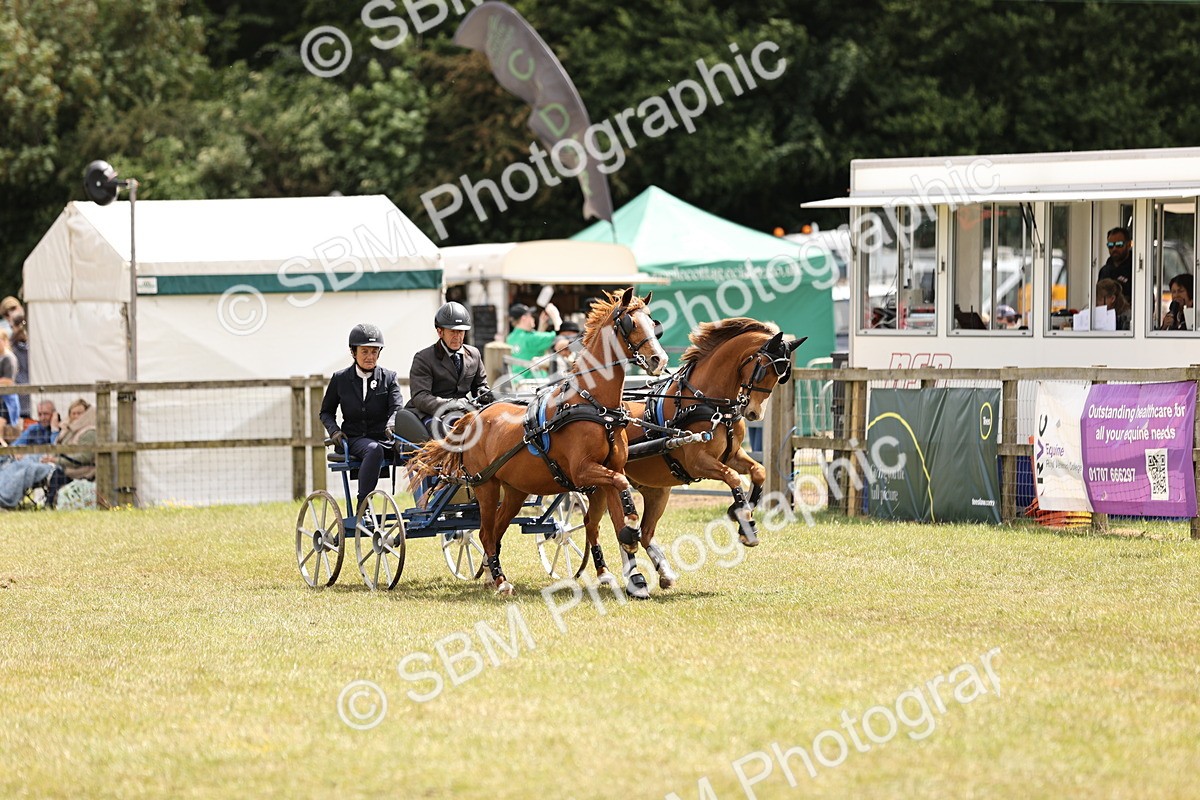 SBM_15994 - Class 91 - Scurry  exceeding 122cms