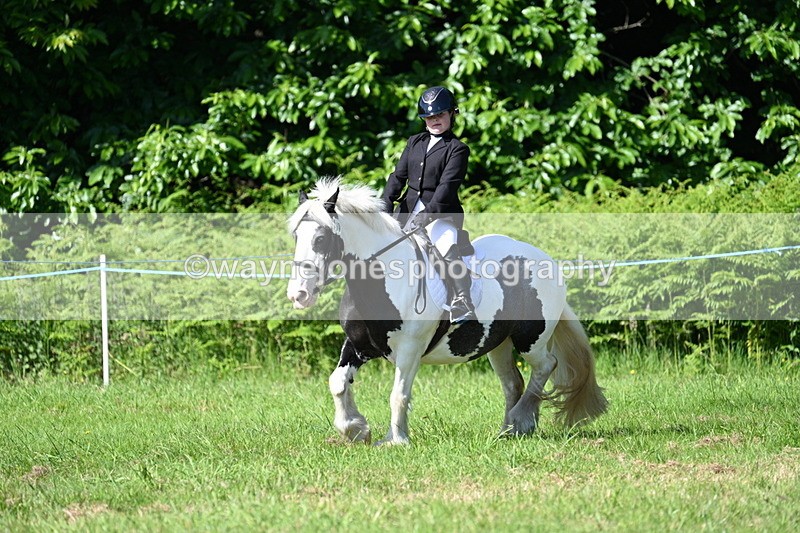 WJ7_0526 - Class 8 First Rally Pony