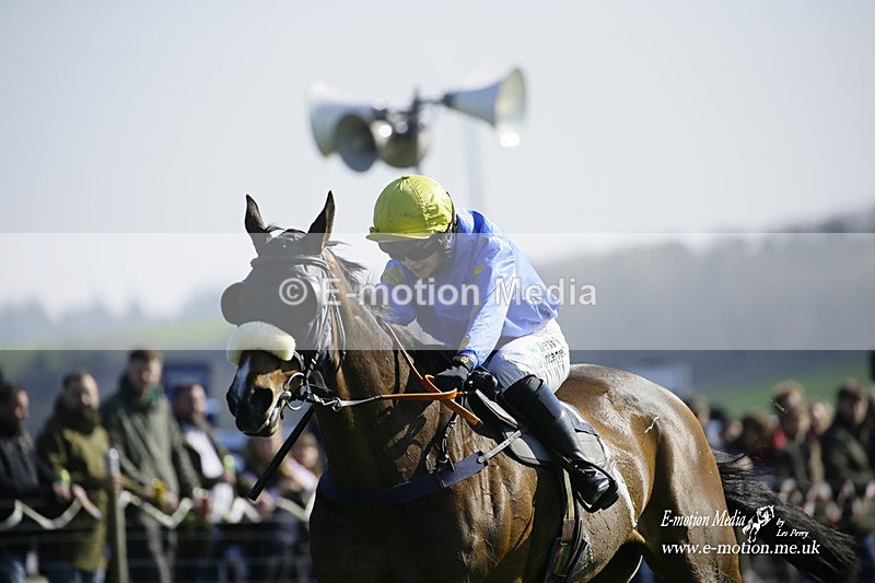 PtP 190322 522 - Wilton Hunt PtP Milborne St Andrew 19/03/22