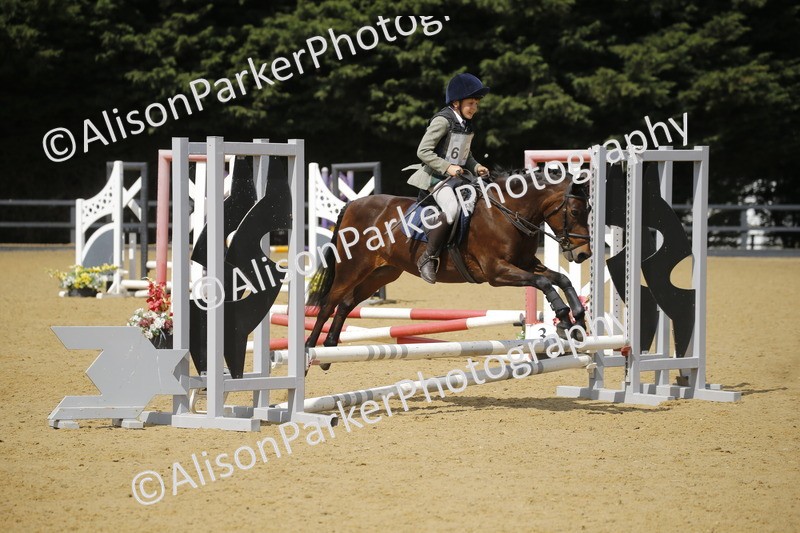 20250622-3860 - 50cm