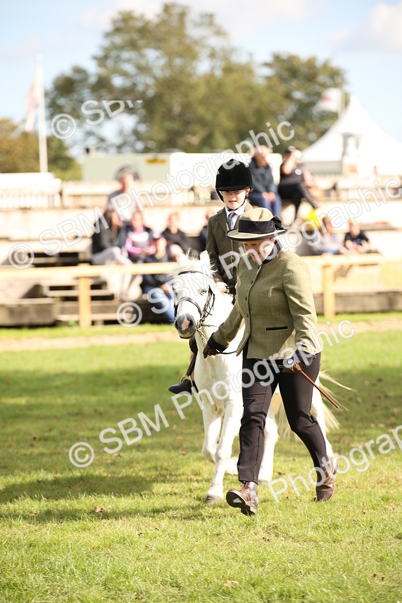 SBM_50033 - S26 - Young Veteran - Ridden