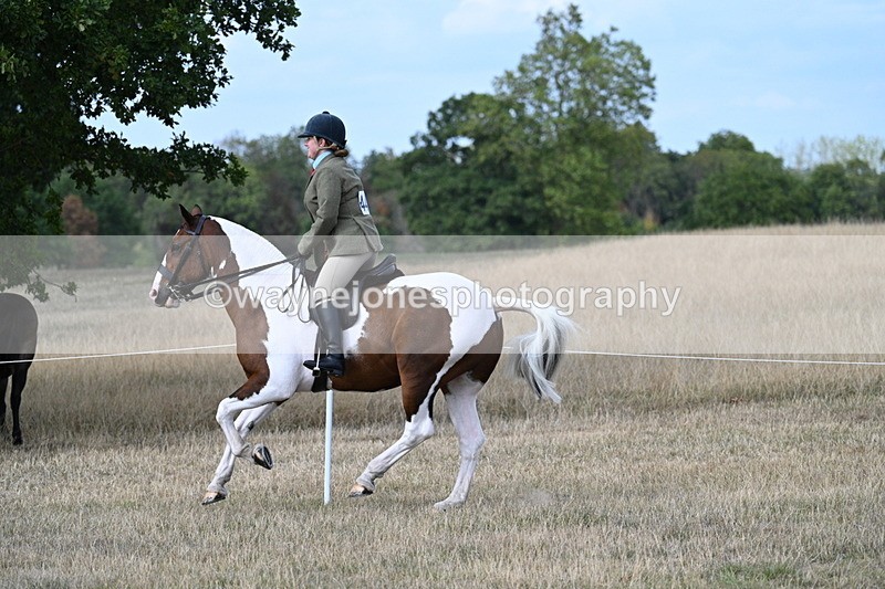 WJ7_7304 - Class 14 Ridden Coloured