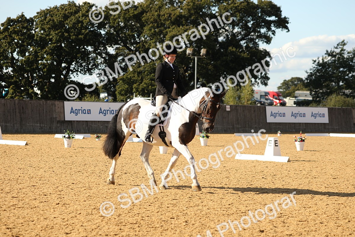 SBM_26821 - D17 - Grand Tour Championship - Novice 27
