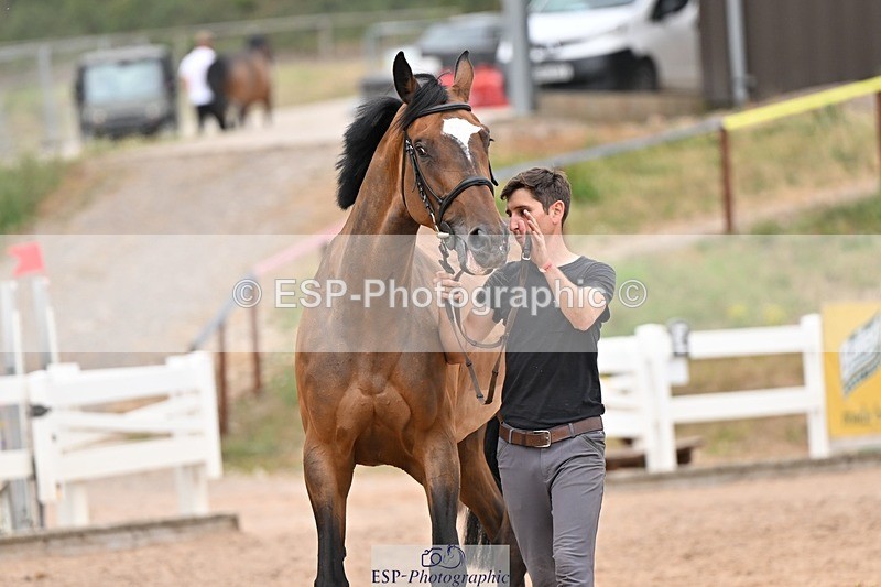 250716-161851-02554 - Trot Up 3.30 to 4.30