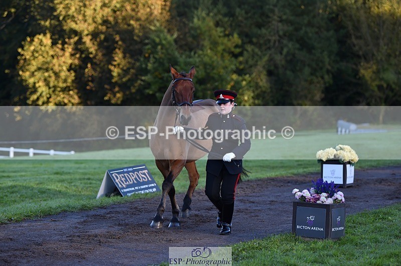 231022-085408-21434 - 614-MICRON.JOY-Ellie.Mitchell-TrotUp+SJ