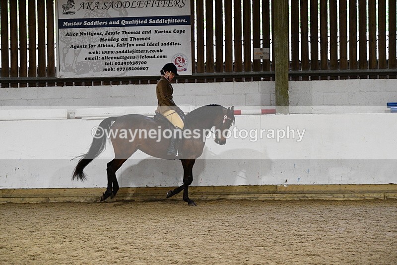 WJ5_8860 - Class 15 Ridden Show Horse