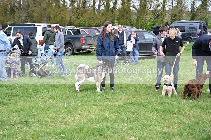 WJ6_8640 - Class 6 Best Rescue