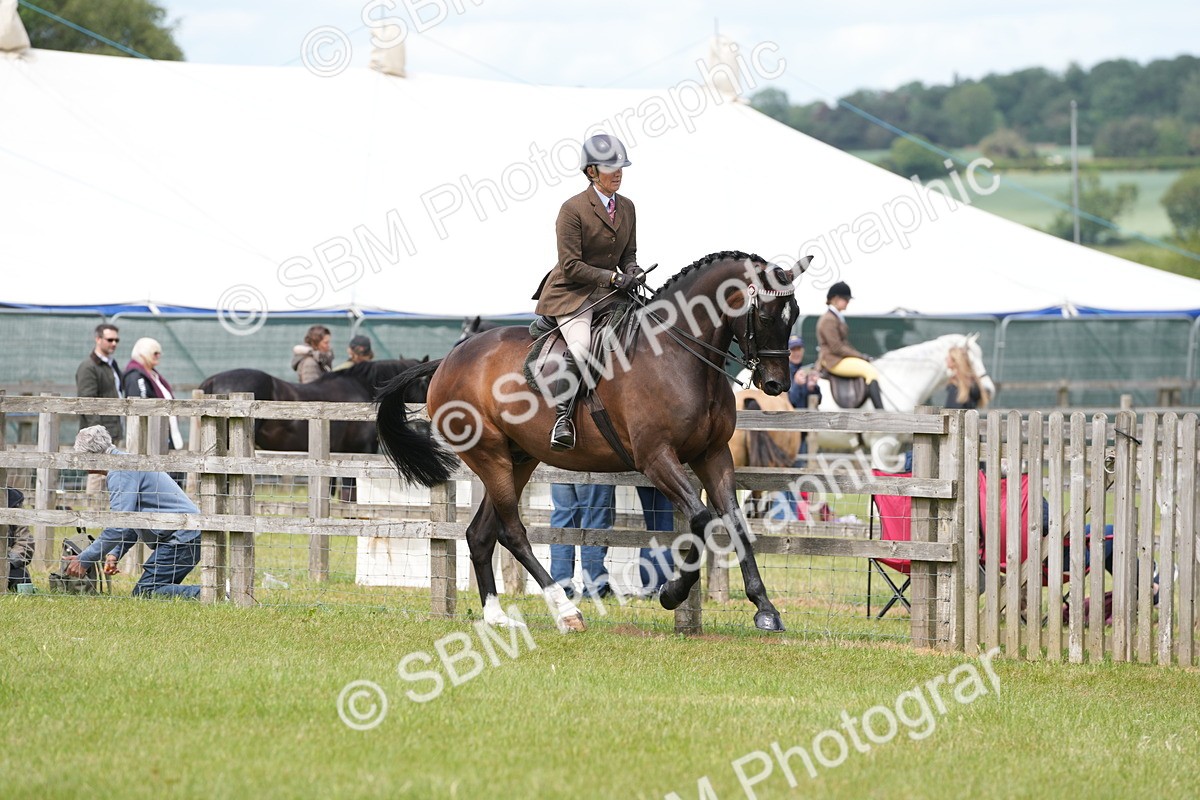 SBM_16238 - Class 105-106 - RIHS Riding Horses