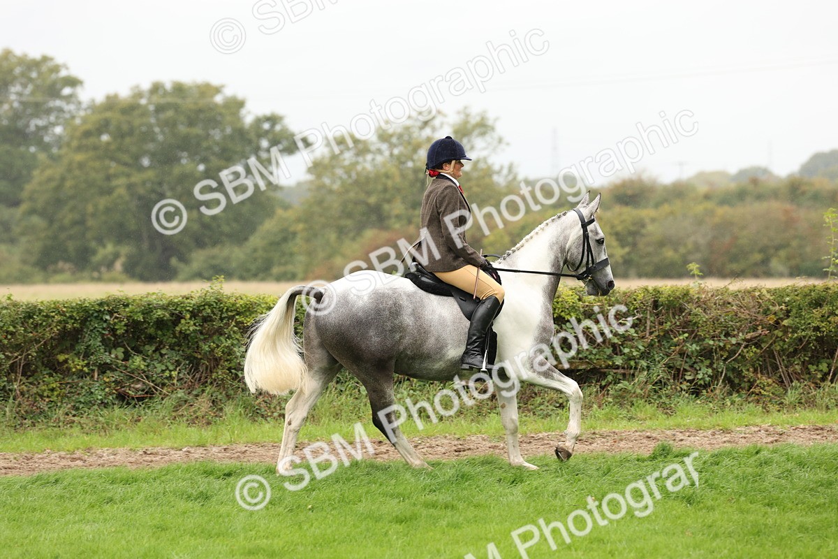 SBM_69884 - S68 - Other Coloured Horse Ridden