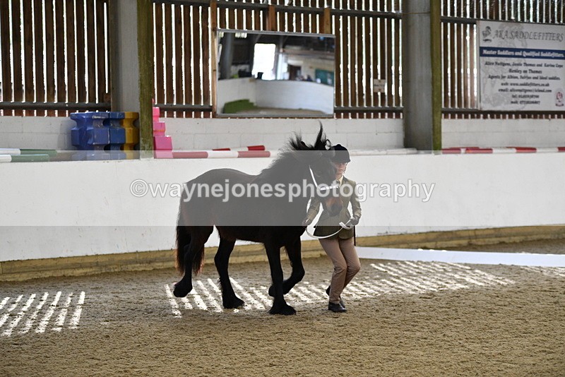 WJ5_4233 - Class 6 In hand M&M - Large Breeds