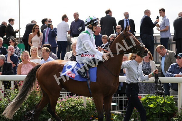 yr18082021r3-32 - Race 3 3.00pm Sky Bet Great Voltigeur Stakes