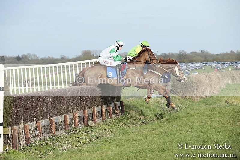 PtP 230319 470 - VWH Hunt Siddington Point-to-Point Racing 23/03/19