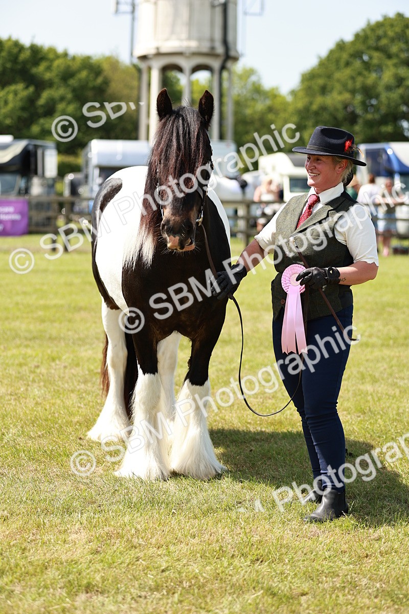 SBM_04284 - Class 39-40 - BSPA Coloured In Hand