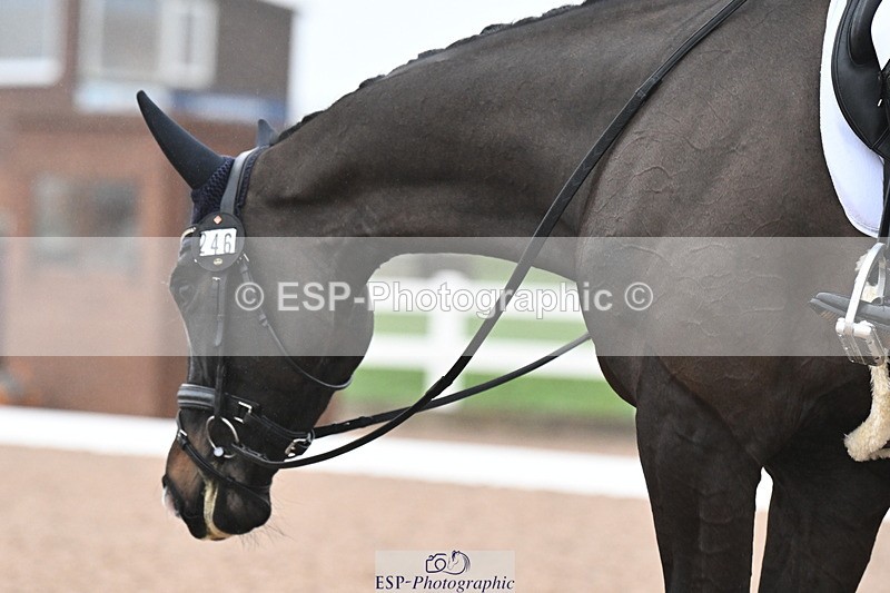 240217A-093902-00589 - 246-Hannah.Biggs-St.Giles.Fortune.Cookie