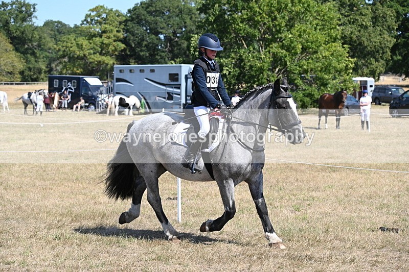 WJ6_9195 - Championship Classes 33-38