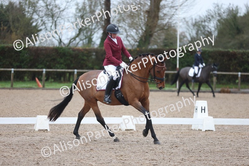 20251207-0400 - Class 3 - Novice 5