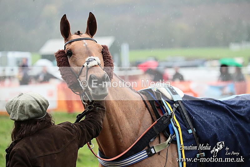 PtP 091125  0914 - Point-to-Point Wales Area Club Lower Machen, Gwent 09/11/25