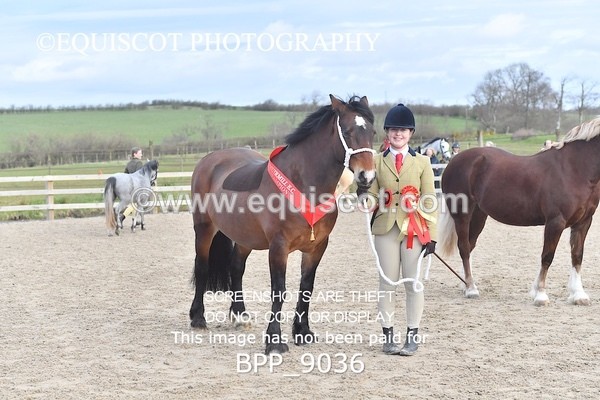 BPP_9036 - RING 2 - M&M