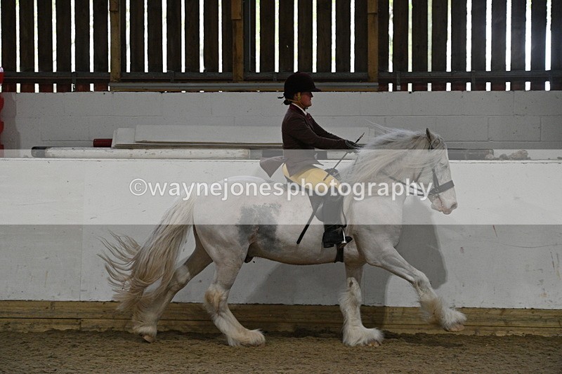 WJ7_4243 - Class 17 Ridden Cob