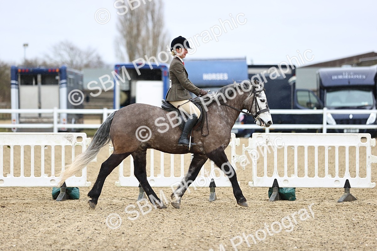 SBM_007496 - Class 31-32 - M&M Confined Novice Small-Large