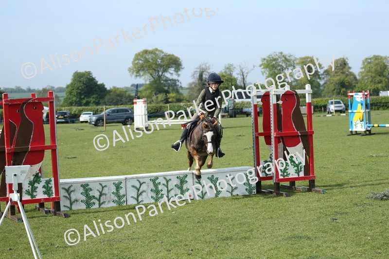 20260426-0228 - Class 13 - Rookie Jumping 50cm
